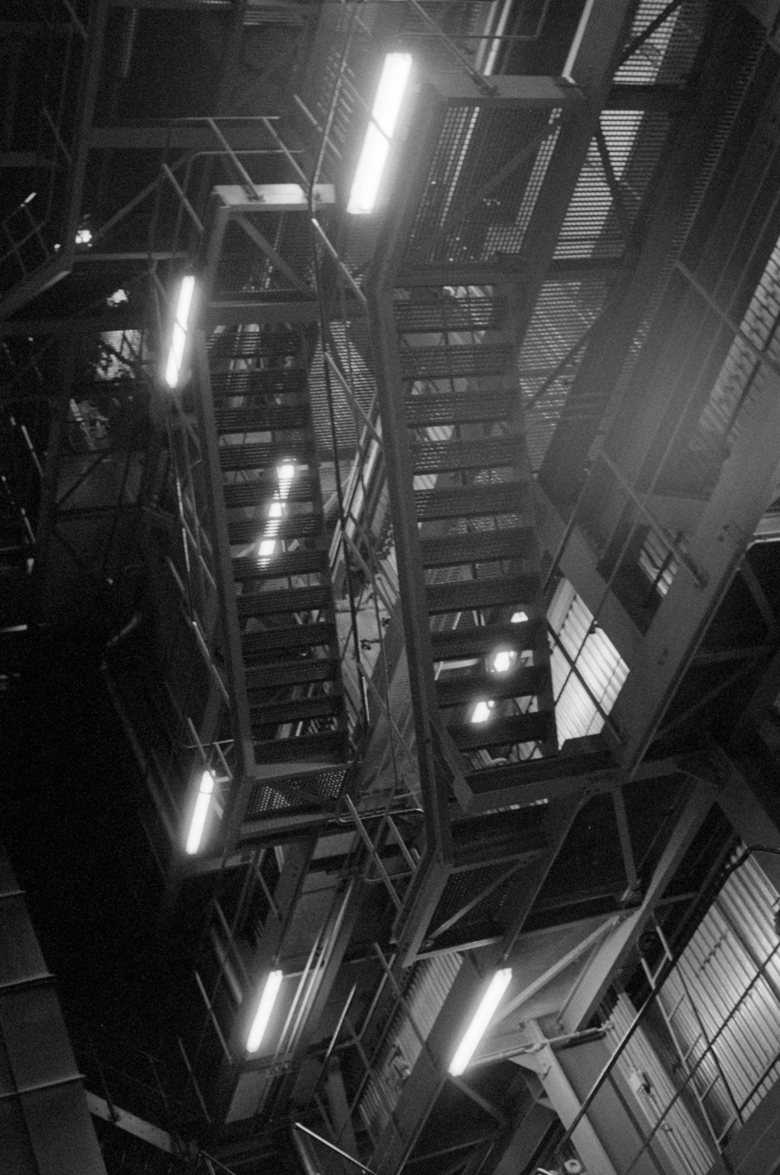 AHP F1994 11 004 sc250521 img19 NLP